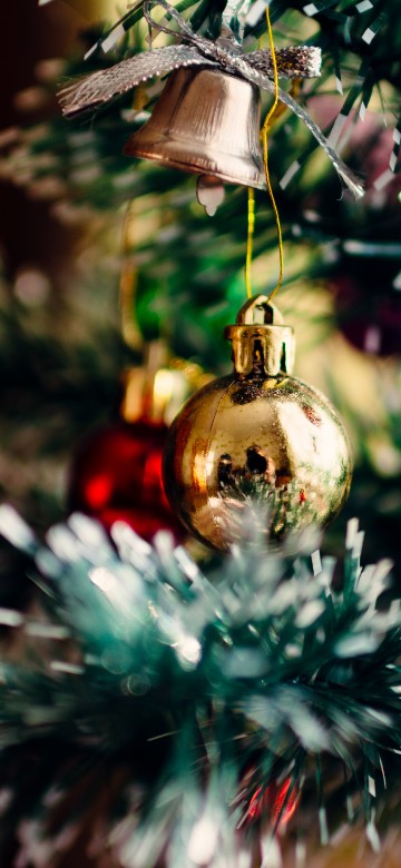 Image christmas and holiday season, Christmas Day, holiday, christmas tree, christmas ornament