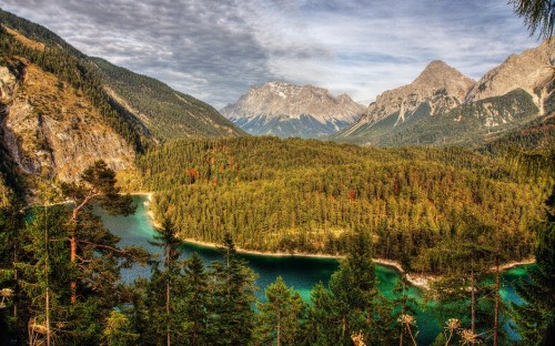 Image green trees near lake and mountains during daytime