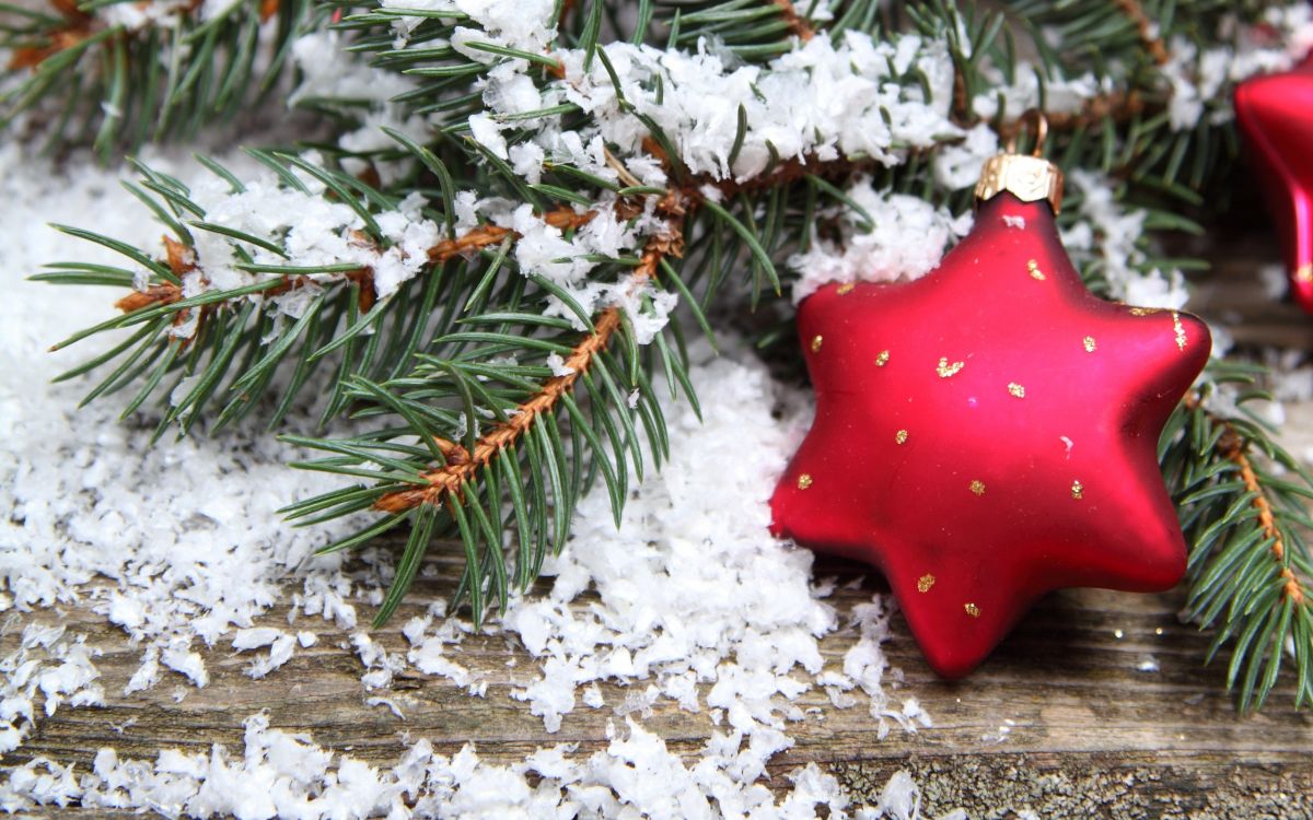 Weihnachten, Neujahr, Branch, Christmas Ornament, Fir. Wallpaper in 2560x1600 Resolution