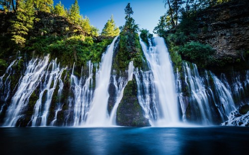 Image waterfalls in the middle of green trees during daytime