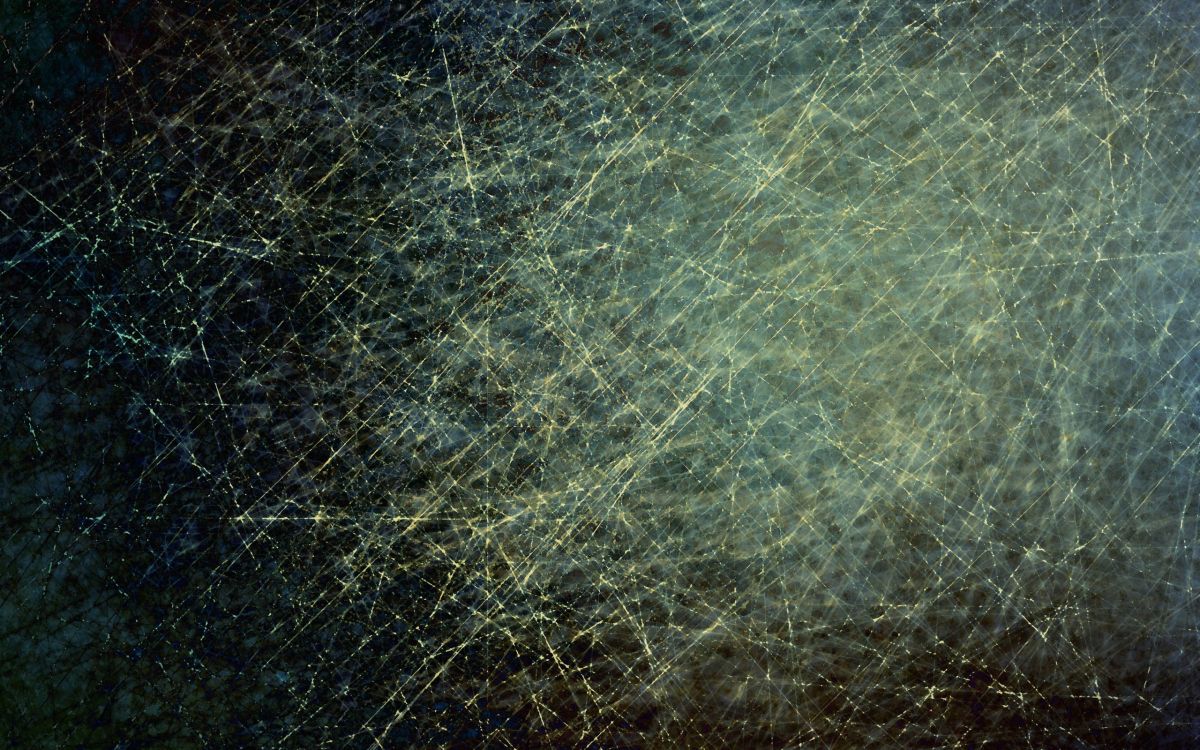 气氛, 纹理, 森林, 天空, 阳光 壁纸 2560x1600 允许