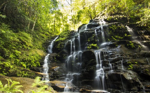 Image waterfalls in the middle of the forest during daytime