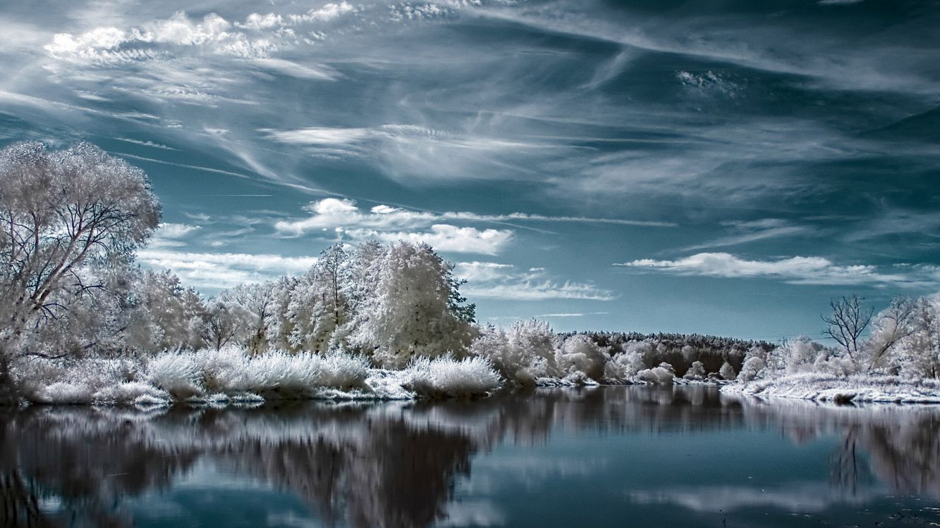 white trees on snow covered ground beside lake under blue and white cloudy sky during daytime