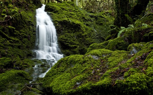 Image waterfalls in the middle of green moss covered rocks