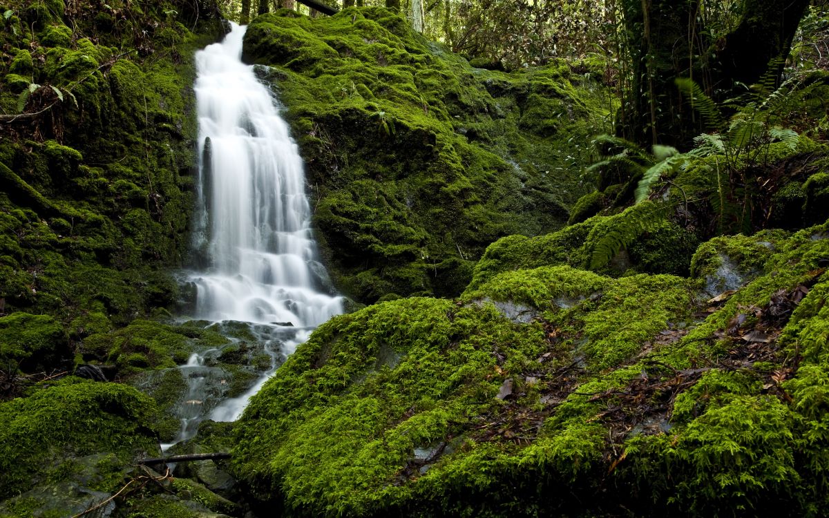 waterfalls in the middle of green moss covered rocks