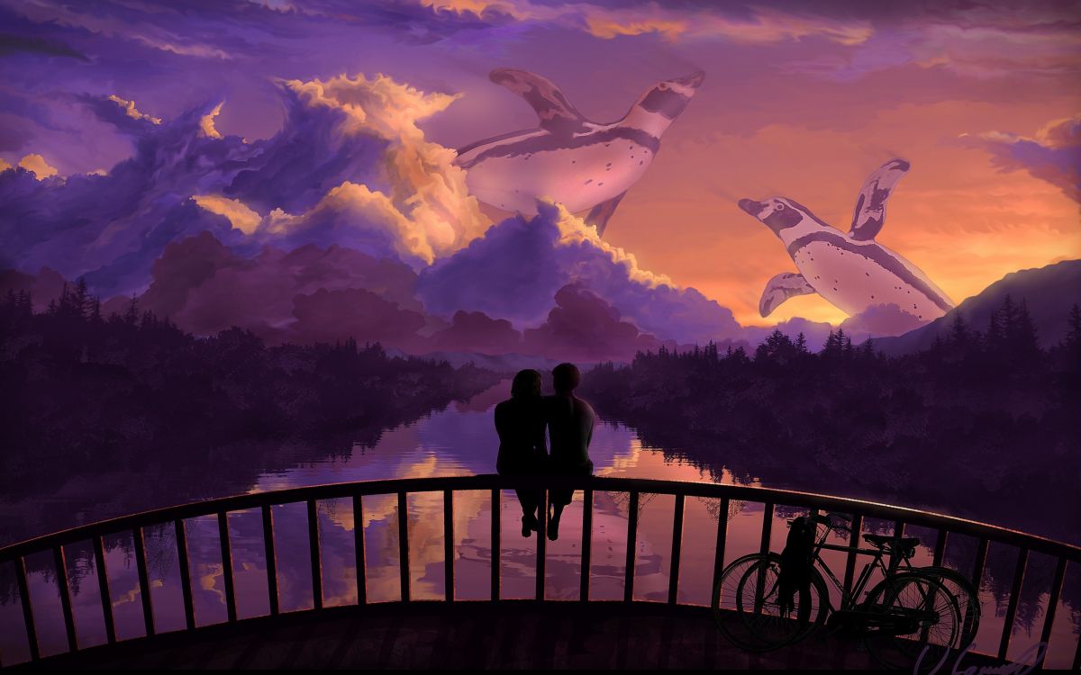 浪漫, 紫色的, 晚上, 日落, 黎明 壁纸 2560x1600 允许