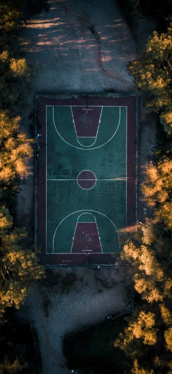 Kansas Jayhawks Herrenbasketball, Basketballplatz, Basketball, Allen Feldhaus, Rückwand. Wallpaper in 1080x2340 Resolution