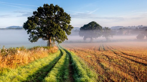 Image landscape, cloud, plant, ecoregion, tree