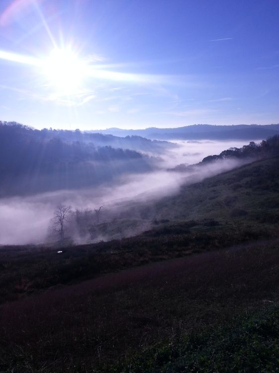 Campo de Hierba Verde Bajo un Cielo Azul Durante el Día. Wallpaper in 2448x3264 Resolution