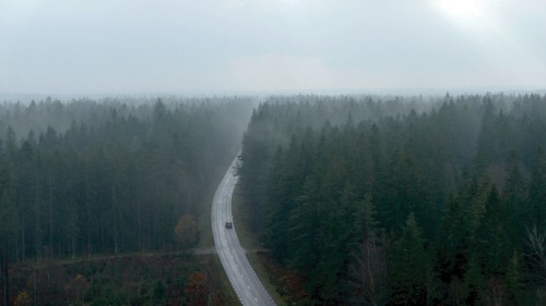 Image gray asphalt road between green trees under white sky during daytime