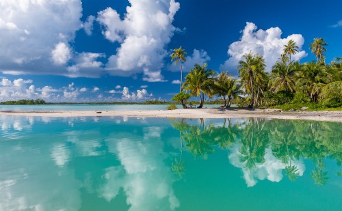 Image green palm trees beside blue body of water under blue and white cloudy sky during daytime