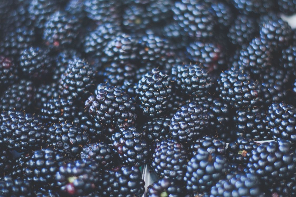 Fruits Ronds Verts et Noirs. Wallpaper in 6000x4000 Resolution