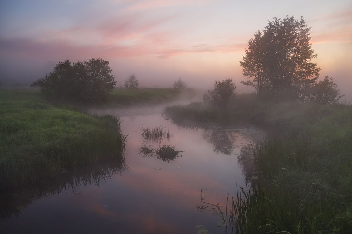 Grünes Gras Und Bäume in Der Nähe Des Sees Während Des Sonnenuntergangs. Wallpaper in 2560x1702 Resolution