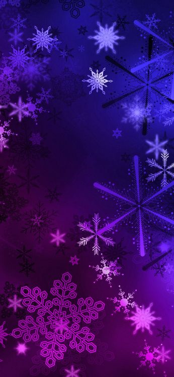 Wisgoon - Red Social, Morado, Luz, Violeta, Fila. Wallpaper in 1407x3045 Resolution