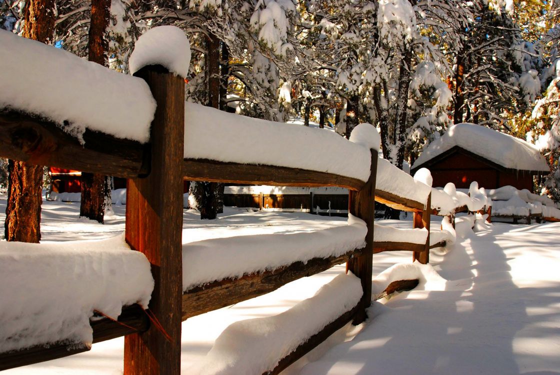 brown wooden bench covered with snow