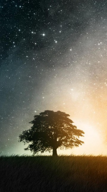 Image green grass field under starry night