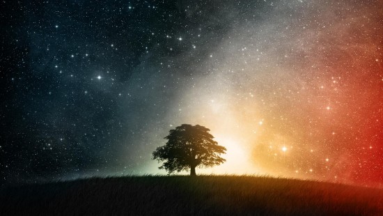 Image green grass field under starry night