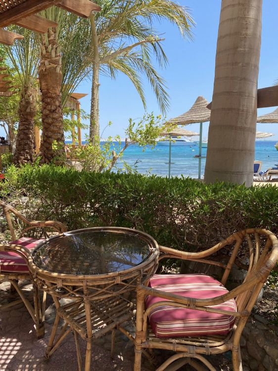 Resort, Immobilier, Palmier, Plantes Ligneuses, Mobilier D'extérieur. Wallpaper in 2936x3914 Resolution