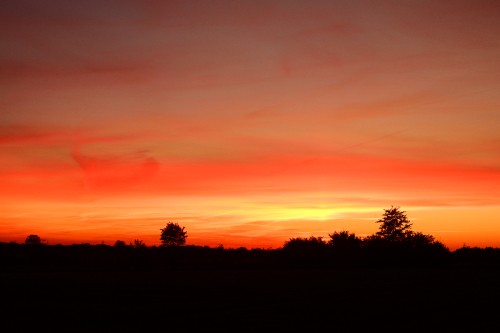 Image cloud, tree, natural landscape, afterglow, dusk