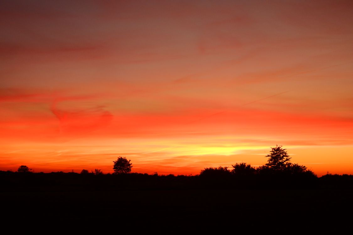 cloud, tree, natural landscape, afterglow, dusk