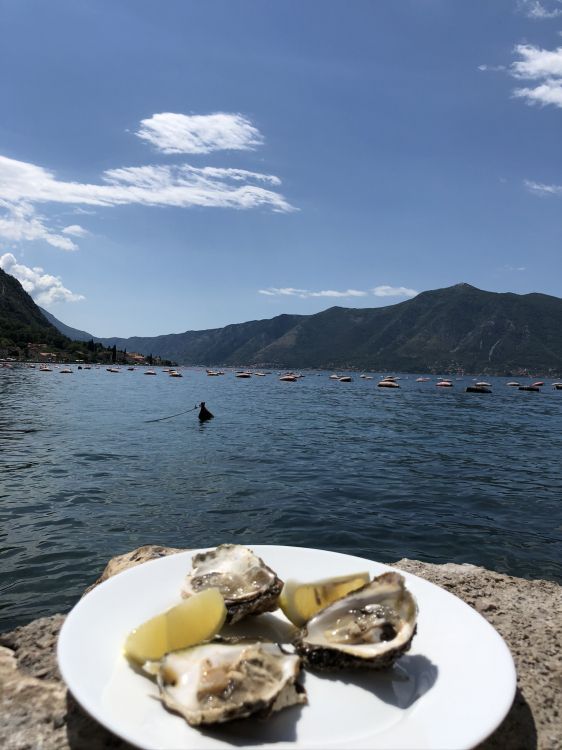 water, fjord, lough, mountainous landforms, oyster