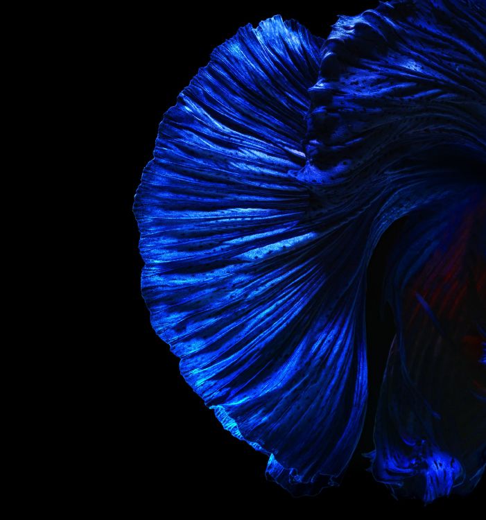 Huawei Nova, Huawei Nova 4, 新4, 华为nova 5t, 华为nova 4e 壁纸 2160x2310 允许