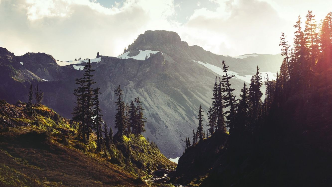 green pine trees near mountain under white clouds during daytime