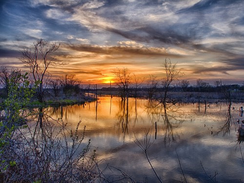 Image green grass on lake under cloudy sky during sunset