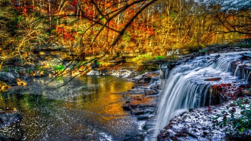 Image water falls in the middle of the forest