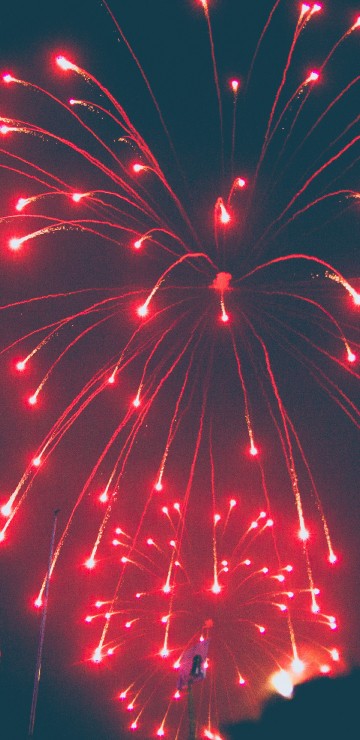 Image fireworks, red, new years day, midnight, pink