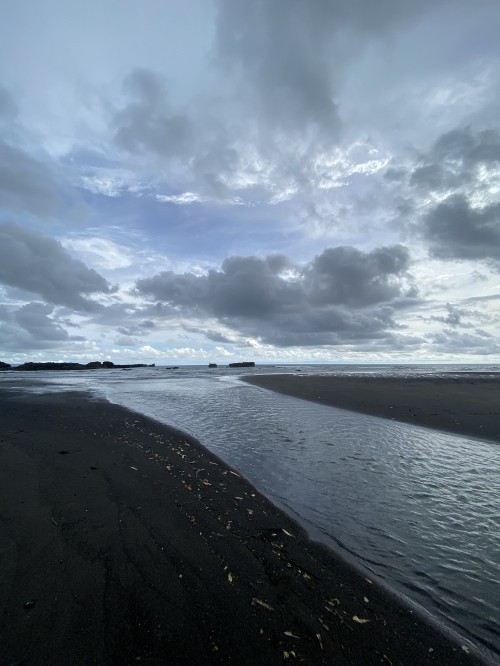 Image sea, Mudflat, water, body of water, cloud