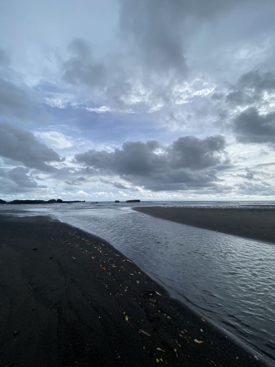 sea, Mudflat, water, body of water, cloud