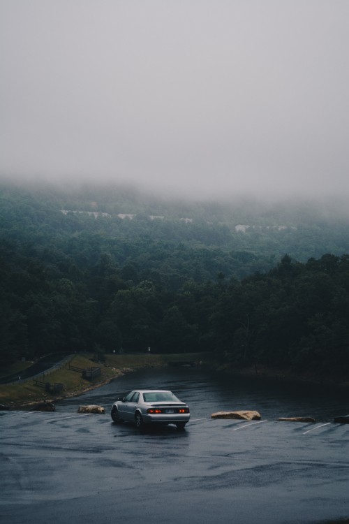 Image black car on road near green trees during foggy day