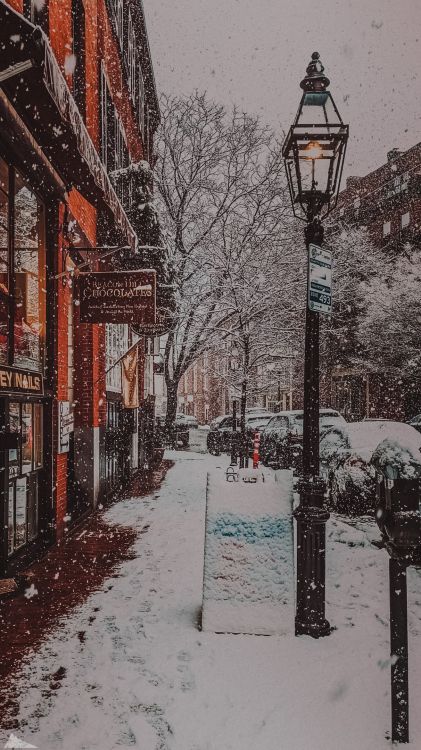 Schnee, Gebäude, Street Light, Branch, Baum. Wallpaper in 1215x2160 Resolution