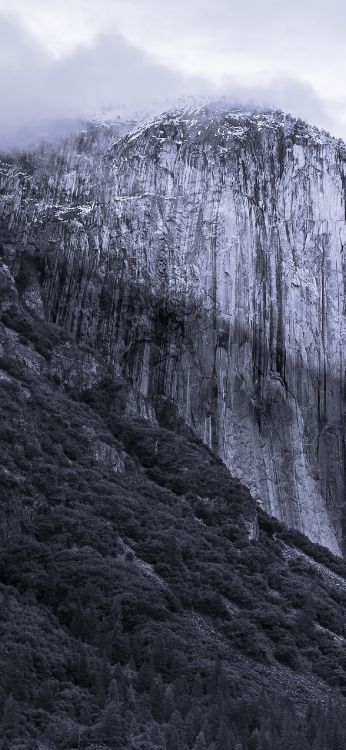 El Capitan, 安装, 苹果, 苹果它, 木 壁纸 1284x2778 允许