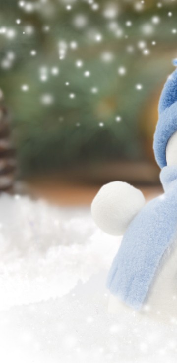 Image snowman with blue scarf and blue scarf