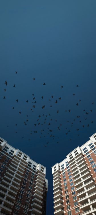 Vogel, Cloud, Gebäude, Städtebau, Tower Block. Wallpaper in 1531x3400 Resolution