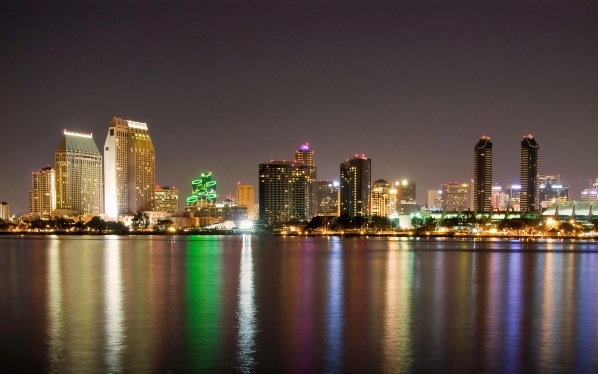 city skyline during night time