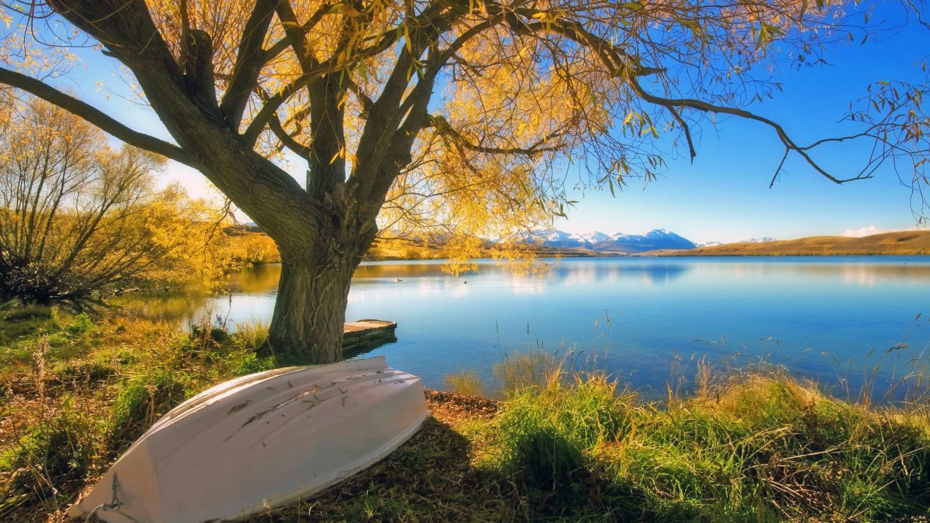 Theatralische Landschaft, Wasser, Cloud, Naturlandschaft, Holz. Wallpaper in 2560x1440 Resolution