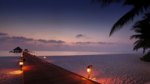 Image brown wooden dock on sea during daytime