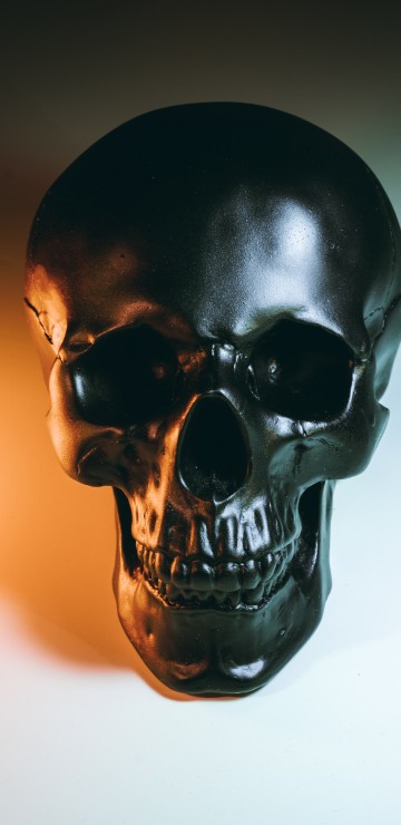 Image skeleton, black skull, Anatomy, bone, jaw