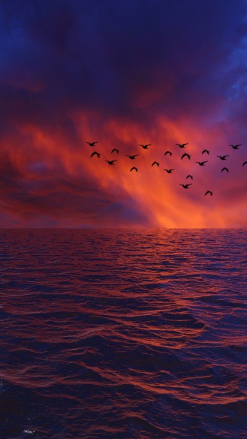 Image horizon, sea, water, ocean, blue