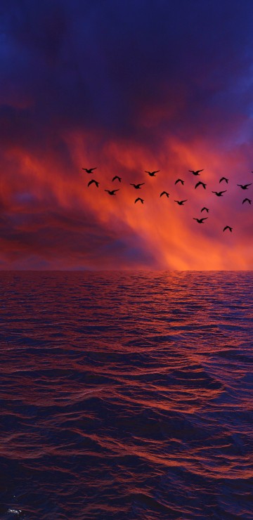 Image horizon, sea, water, ocean, blue