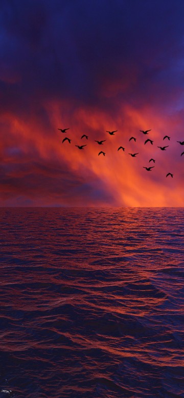 Image horizon, sea, water, ocean, blue
