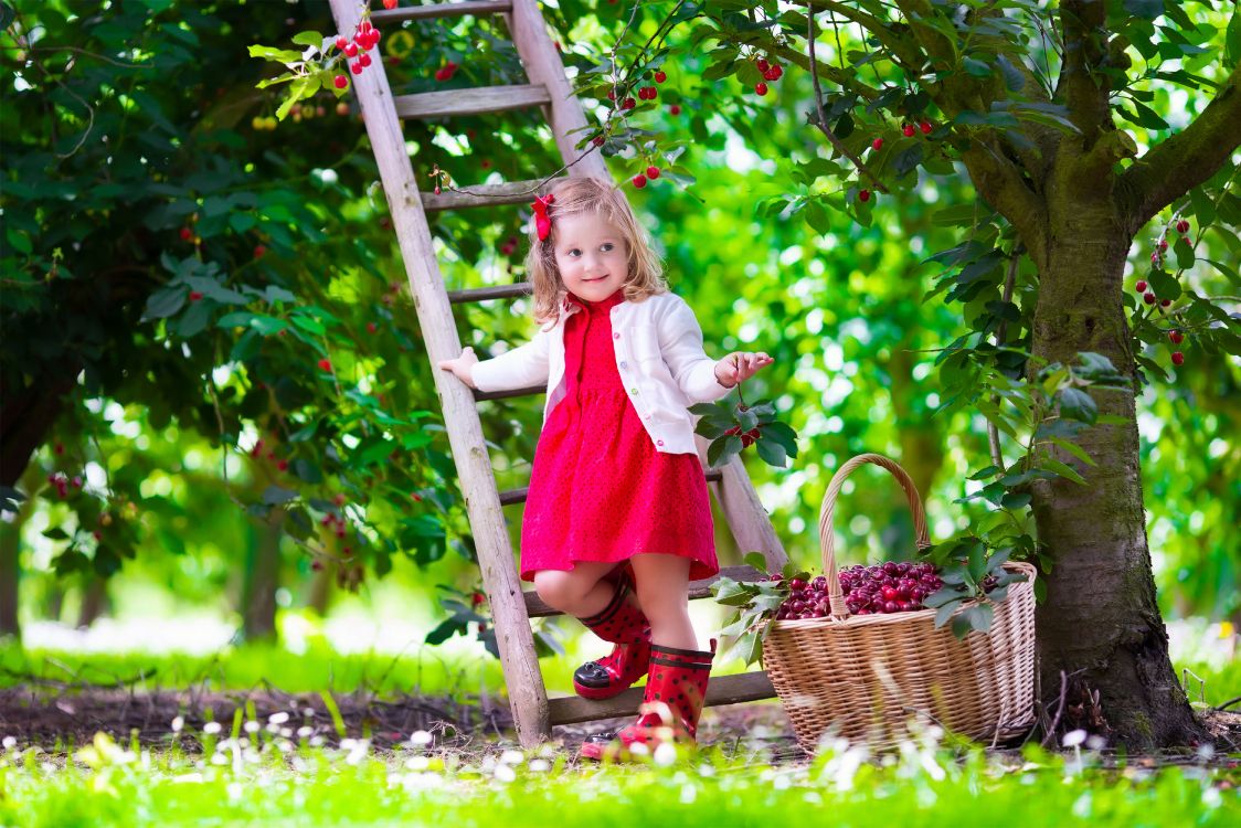 child, tree, grasses, Factory, clothing