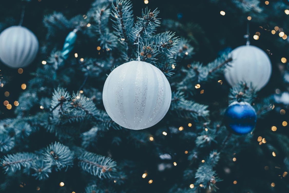 Le Jour De Noël, Décoration de Noël, Ornement de Noël, Arbre de Noël, Blue. Wallpaper in 3999x2662 Resolution