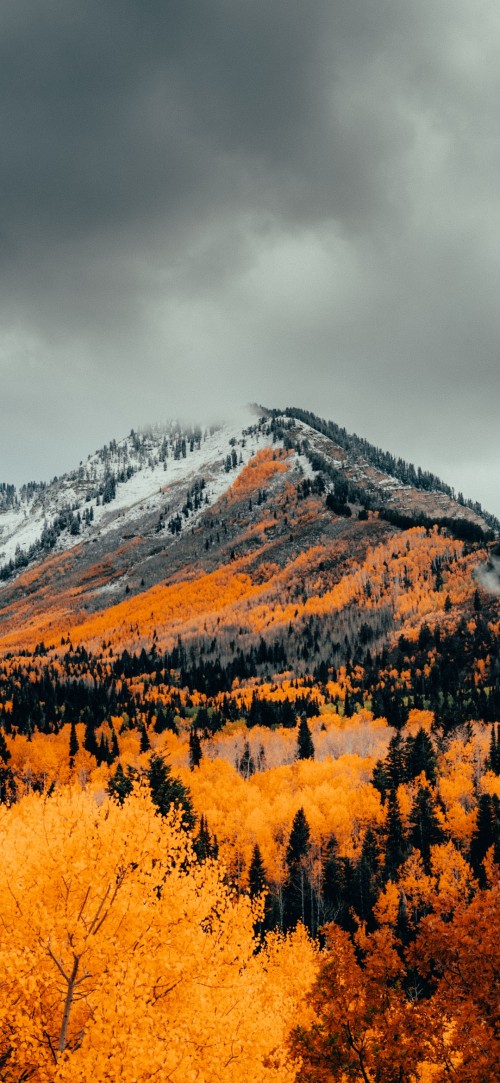 Image autumn, nature, cloud, mountain, plant