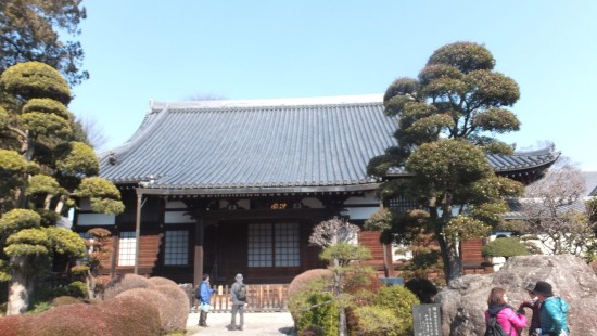 Image people walking on pathway near green trees and brown wooden house during daytime