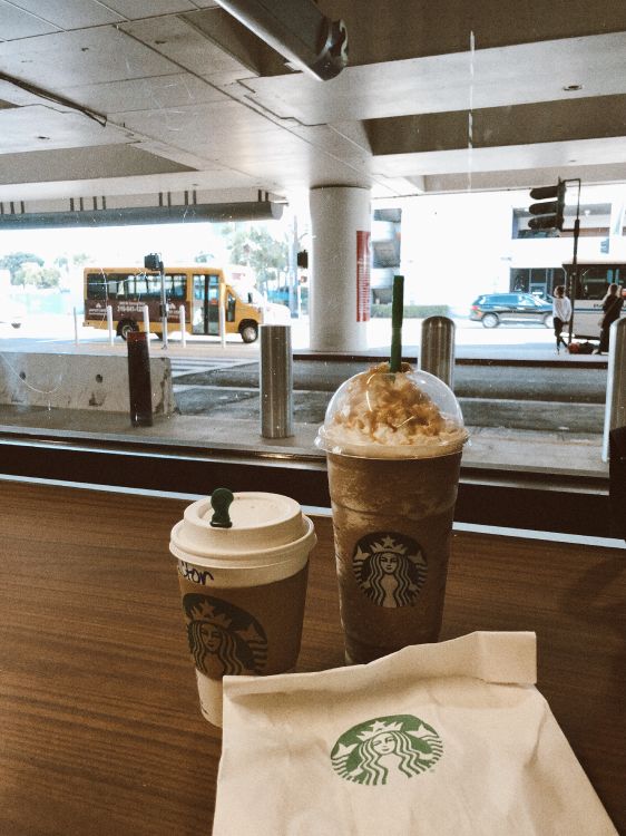 Starbucks, Étage, Plancher, Design D'intérieur, Plafond. Wallpaper in 3025x4032 Resolution