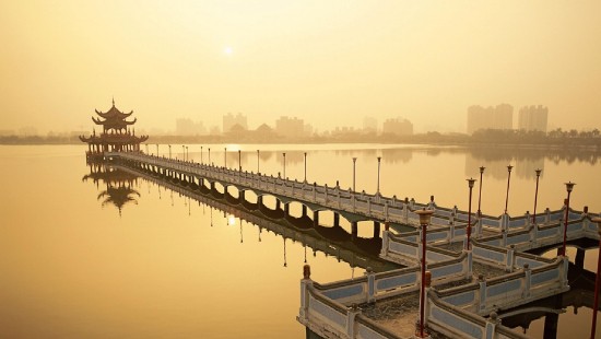 Image brown wooden dock on body of water during daytime